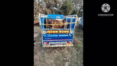 पथरगामा: पथरगामा रजौन मोड़ के पास पुलिस ने पिकअप वाहन से पांच पशुधन बरामद कर थाना लाया