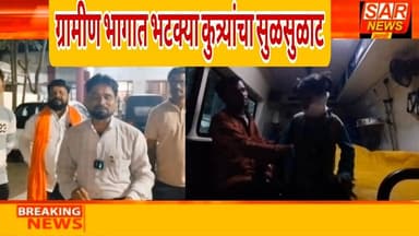 ग्रामीण भागात भटक्या कुत्र्यांनी घेतला अनेकांना चावा!