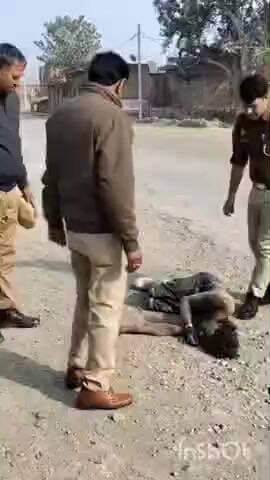 चायल: मखऊपुर के पास पिपरी पुलिस की मानवीय पहल, सड़क पर पड़े शराबी युवकों को सुरक्षित घर पहुंचाया