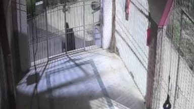 ଏରସମା: ଗତକାଲି ରାତିରେ ନରୁଆ ଛକ ଦୁର୍ଗା ମନ୍ଦିର ରୁ କେହିଜଣେ ଦୃବୁତ ମା ଙ୍କ ହୁଣ୍ଡି ଭାଙ୍ଗି ଟଙ୍କା ଲୁଟ କରିଥିବା ଶିଶି ଟିଭି ଭିଡିଓ ଭାଇରାଲ