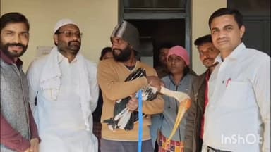 मझोली: मझौली में चीनी मांझे से घायल प्रवासी पक्षी, किसान ने अस्पताल में भर्ती कराया, इलाज जारी