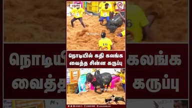 வீரர்களை ஒரு நொடியில் கதி கலங்க வைத்த சின்ன கருப்பு | Jalikattu | Jalikattu2026 | Palamedu | M Nadu