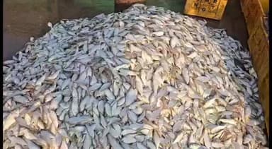 நாகப்பட்டினம்: மாட்டுப் பொங்கலை ஒட்டி நாகை துறைமுகத்தில் மீன் வாங்க குவிந்த மக்கள் மீன்கள் விலையும் அதிகரித்து காணப்பட்டது