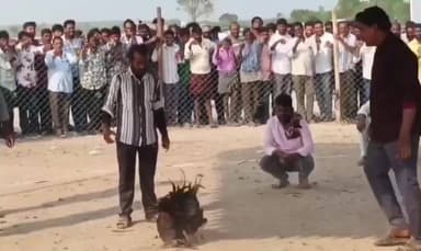 సంతనూతలపాడు: చీమకుర్తి మండలం ఎర్రగుడిపాడు రహదారిలో యదేచ్చగా కోడి పందాలు, పందాలను తిలకించేందుకు పెద్ద ఎత్తున తరలివచ్చిన ప్రజలు