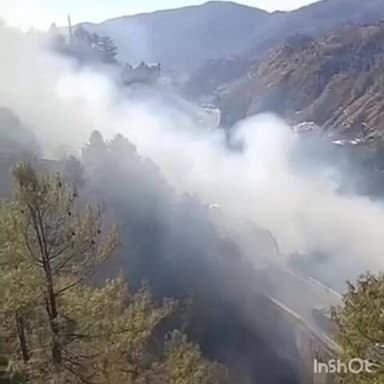 ठियोग: ठियोग बाई पास में जंगल में लगी आग, रिहायशी मकानों को हो सकता है खतरा