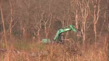 বোকাখাত: কাজিৰঙা ৰাষ্ট্ৰীয় উদ্যানত এক্সকেভেটৰে উঘালিছে প্ৰকাণ্ড গছ, গ্ৰাছলেণ্ড মেনেজমেণ্টৰ প্ৰক্ৰিয়া বুলি জনালে কঁহৰাত ডিএফঅʼই