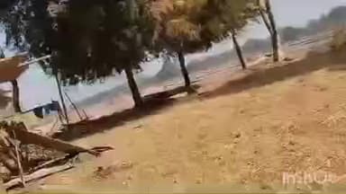 कामडारा: नरसिंहपुर गांव में जंगली हाथी ने एक व्यक्ति का मकान तोड़ा, पीड़ित ने प्रशासन से मुआवजे की मांग की