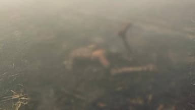 ದೇವರಹಿಪ್ಪರಗಿ: ಬನಟ್ಟಿ ಪಿ ಎ ಗ್ರಾಮದ ಕಬ್ಬಿನ ಗದ್ದೆಯಲ್ಲಿ ವ್ಯಕ್ತಿ ಸಜೀವ ದಹನ, ಸ್ಥಳಕ್ಕೆ ದೇವರ ಹಿಪ್ಪರಗಿ ಠಾಣೆಯ ಪೊಲೀಸರ ಭೇಟಿ ಪರಿಶೀಲನೆ