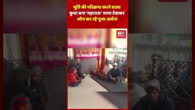 मूर्ति की परिक्रमा करने वाला कुत्ता बना 'महाराज'माथा टेककर लोग कर रहे पूजा-अर्चना #dog #shorts