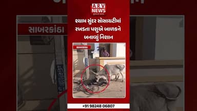 હિંમતનગરમાં રખડતા પશુઓનો આતંક | શાળાએથી પરત ફરતા બાળક પર ગાયનો હુમલો | CCTV