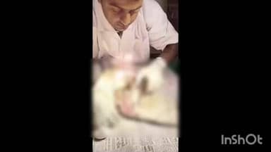 લુણાવાડા: લુણાવાડામાં પશુ દવાખાના ખાતે દોરીના કારણે ઇજાગ્રસ્ત ત્રણ પક્ષીઓને સારવાર અપાઈ