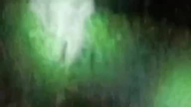 सिमरिया: जंगल से भटका हाथी टूटीलावा गांव पहुंचा, फसलों को किया बर्बाद, ग्रामीण परेशान