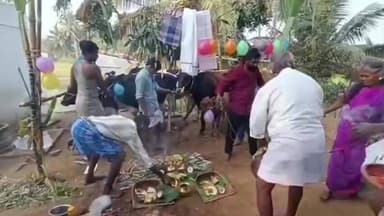 ஆம்பூர்: சோமலாபுரம் பகுதியில் மாட்டுப்பொங்கல் விழாவை கோலாகலமாக கொண்டாடிய கிராம மக்கள்