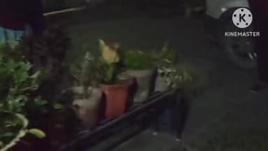 सहारनपुर: शास्त्री नगर के निवासियों ने चोर को पकड़ा, पुलिस को सौंपकर कार्रवाई की मांग की, वीडियो आया सामने