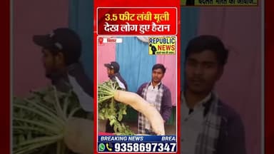 सोशल मीडिया पर वायरल हो गई मूली।VIRAL VIDEO।#trending #latesupdate #update #latestnews #breakingnews