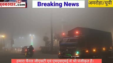 शुक्रवार को दिन भर नहीं निकली धूप,शाम ढलते ही तनी कोहरे की चादर, विजिबिलिटी लगभग शून्य देखें live