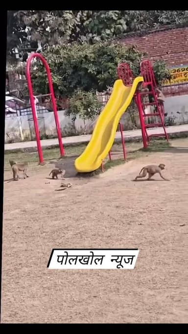 हमारे बच्चे फोन में बिजी हैं और उनकी जगह मजे ले रहे हैं ये....