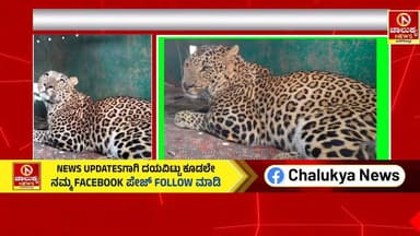 ಗುಬ್ಬಿ ಅಳಿಲು ಘಟ್ಟ ಬಳಿ ಅರಣ್ಯ ಇಲಾಖೆ ಇಟ್ಟಿದ್ದ ಬೋನಿಗೆ ಬಿದ್ದ ಚಿರತೆ