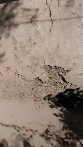 giram टीला अहिरवार समाज में पानी से परेशान हो रहे गंदा पानी पी रहे हे