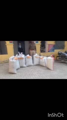 छीपाबड़ोद: छीपाबड़ौद थाना पुलिस ने 93 किलो मक्का की कड़प में छुपाकर रखा डोडा चूरा किया बरामद
