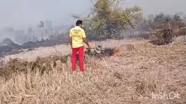 ବୀରମହାରାଜପୁର: ରାନିପାଲି ଗାଁ ନିକଟ ବିଲରେ ଲାଗିଲା ନିଆଁ, ନିଆଁକୁ ଆୟତ୍ତ କଲା ଉଲୁଣ୍ଡା ଅଗ୍ନିଶମ ବାହିନୀ