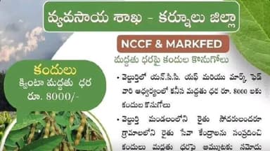 పత్తికొండ: వెల్దుర్తిలో కంది రైతులు ప్రభుత్వం శుభవార్త రైతు సేవ కేంద్రాల్లో రైతులు నమోదు చేసుకోవాలి