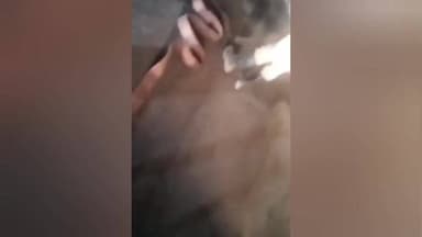 పత్తికొండ: పత్తికొండలో అర్ధరాత్రి బస్సులో మంటలు అప్రమత్తమైన డ్రైవర్