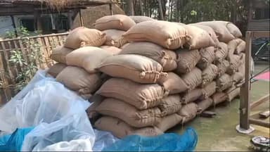 কমলপুর: জানুয়ারি গড়ালেও শুরু হয়নি সরকারি ধান কেনা; বৃষ্টির আশঙ্কায় দিশেহারা কমলপুরের কৃষকরা