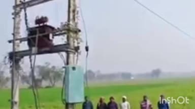 प्रतापगंज: प्रतापगंज प्रखंड के छिटहा गांव में चोरों ने 100 बिजली खंभों से तार काटकर की चोरी