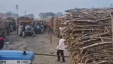 रीगा: रीगा चीनी मिल में अव्यवस्था, ईख लेकर आने वाले किसान और ड्राइवर परेशान, बदसलूकी का आरोप