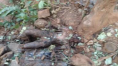 खूंटी: तुम्बुकेल के जंगली पहाड़ी इलाके से अज्ञात महिला का जला हुआ शव बरामद