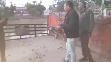 সোণাৰি: সোণাৰিত উদ্ধাৰ হোৱা প্ৰকাণ্ড কাছ প্ৰকৃতি প্ৰেমী ৰবীন বাইলোং আৰু বন বিভাগৰ সহযোগত বৰ পুখুৰীত মুকলি কৰা হয়