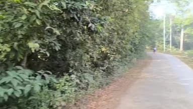 বিশালগড়: শাসক দলের নেত্রীর বিরুদ্ধে ভাশুরে মিথ্যা অভিযোগ, ঘটনা কমলাসাগর