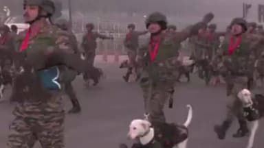 पार्लियामेंट स्ट्रीट: कर्तव्य पथ पर 77वें गणतंत्र दिवस परेड की रिहर्सल जारी