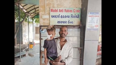 લીમખેડા: રખડતા શ્વાને લીમખેડાના અંધારીમાં 4 વર્ષના માસૂમ પર જીવલેણ હુમલો કર્યો