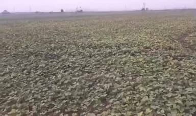 అన్నమయ్య జిల్లా: రబీ సీజన్లో బీమా సౌకర్యం....?