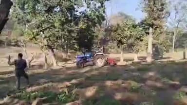 पांकी: आबून के जंगली क्षेत्र में 4 एकड़ वन भूमि पर अवैध अफीम-पोस्ता की खेती नष्ट की गई