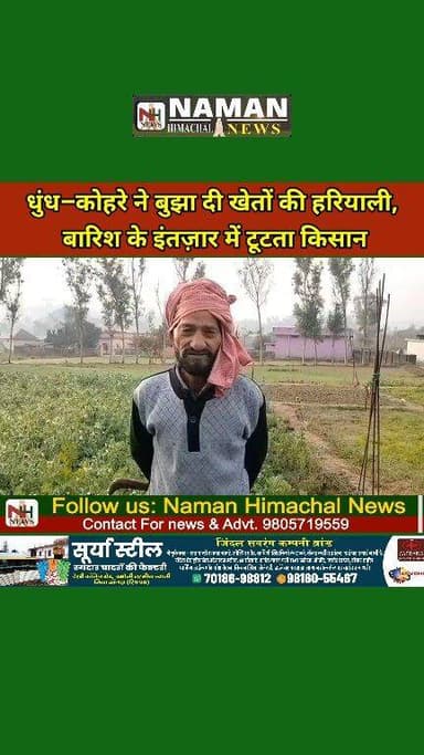 धुंध–कोहरे ने बुझा दी खेतों की हरियाली, बारिश के इंतज़ार में टूटता किसान!