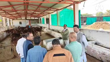 खुजनेर: गो संवर्धन बोर्ड के अध्यक्ष उमेश शर्मा एवं प्रवीण सिंदे ने खुजनेर की सांवलिया गौशाला का निरीक्षण किया