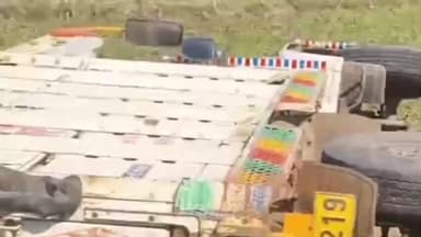 गोपद बनास: सीधी जिले के टिकर बघौड़ी मार्ग पर मवेशियों से भरी पिकअप पलटी