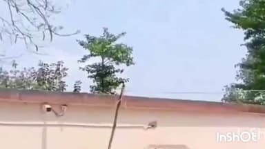 चौसा: चौसा थाना पुलिस ने चार वारंटियों को किया गिरफ्तार, मजिस्ट्रेट के सामने पेश किया