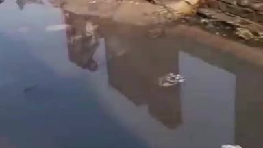 धनरुआ: धनरूआ ब्लॉक के वार्ड-9 में जलभराव और नाली की समस्या से परेशान जनता ने प्रशासन से तत्काल हस्तक्षेप की मांग की