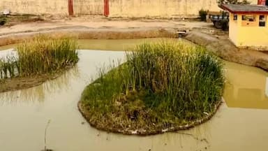 नांगल राजावतान: विशिष्ट केंद्रीय कारागृह श्यालावास परिसर का व्यापक सौंदर्याकरण और नवीनीकरण के बाद जेल को मिला नया स्वरूप