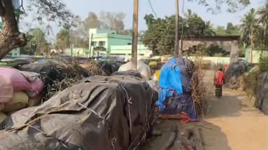 ଦିଗପହଣ୍ଡି: କଟନି ଛଟନି କୁ ନେଇ ଚାଲିଥିଲା ବିବାଦ, ବି.ତୁରୁବୁଡି ଠାରେ ପୋଲିସ ପ୍ରଶାସନ ର ଉପସ୍ଥିତିରେ ମଣ୍ଡି ରୁ ଉଠିଲା ଚାଷୀଙ୍କ ଧାନ