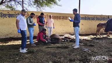 निम्बाहेड़ा: श्री जैन दिवाकर कमल गौशाला में एक दिवसीय पशु चिकित्सा शिविर का आयोजन, पूर्व विधायक रहे उपस्थित