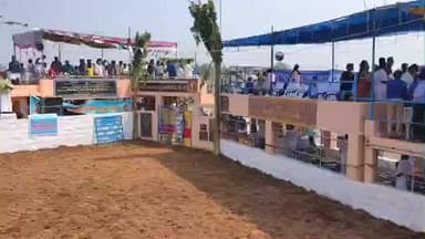 திருப்பத்தூர்: சிறாவயலில் மஞ்சுவிரட்டு விழா மாவட்ட ஆட்சியர் துவக்கி வைப்பு