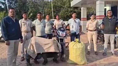 ଛତ୍ରପୁର: ବ୍ରହ୍ମପୁର ଫାଷ୍ଟ ଗେଟ୍ ନିକଟରେ ଅବକାରୀ ବିଭାଗ ଚଢାଉ କରି ୩୨ କେଜି ଗଞ୍ଜେଇ ସହ ୨ ଜଣଙ୍କୁ ଗିରଫ କରିଛି