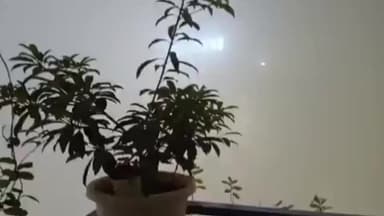 प्रीत विहार: राजधानी दिल्ली में प्रदूषण फिर खतरनाक स्तर पर, दिल्ली में ग्रैप 4 लागू