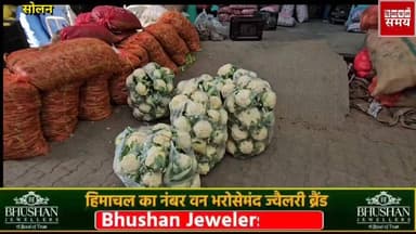 17 जनवरी 2026 को हिमाचल प्रदेश की सोलन सब्जी मंडी में भाव
हिमाचल समय - Himachal Samay Media #panchyateletion #breakingn...