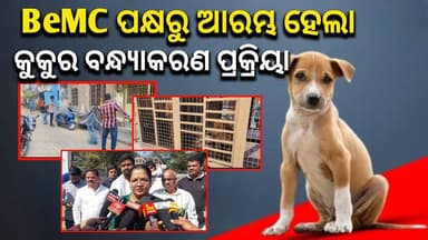 BeMC ପକ୍ଷରୁ ଆରମ୍ଭ ହେଲା କୁକୁର ବନ୍ଧ୍ୟାକରଣ ପ୍ରକ୍ରିୟା